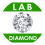 White Diamond Lab