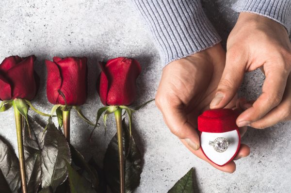 Valentine's Day with Diamonds and Roses | Sophia Fiori